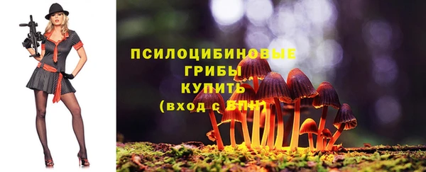 прущие грибы Липки
