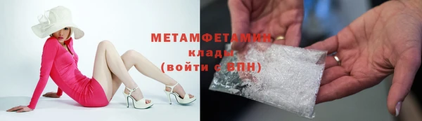 прущие грибы Липки