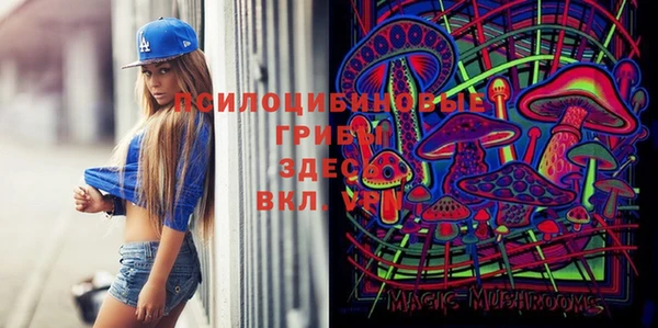 прущие грибы Липки