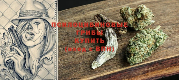 прущие грибы Липки