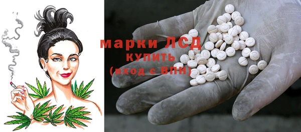прущие грибы Липки