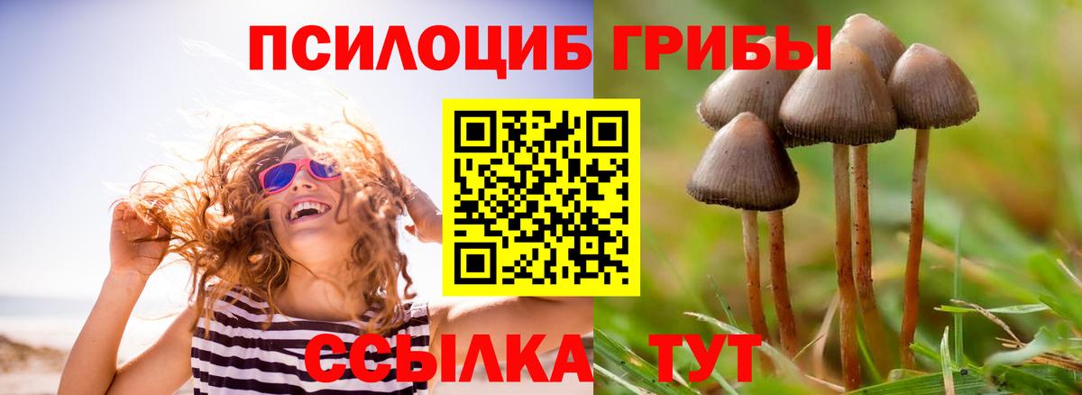 Галлюциногенные грибы ЛСД  Вход с VPN  что такое наркотик  Рязань 
